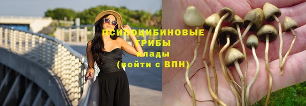 сатива Алексеевка