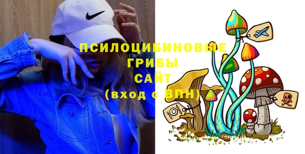 гидра Алексин